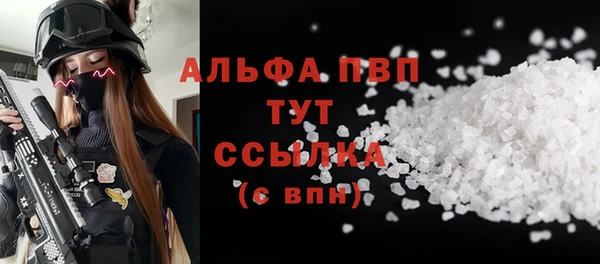 стаф Белоозёрский