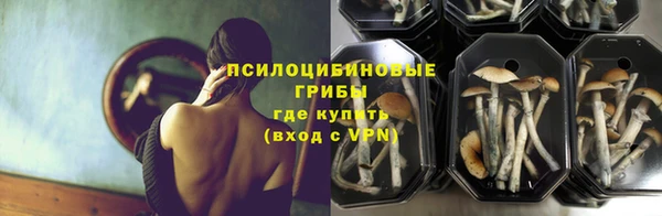 трава Зерноград