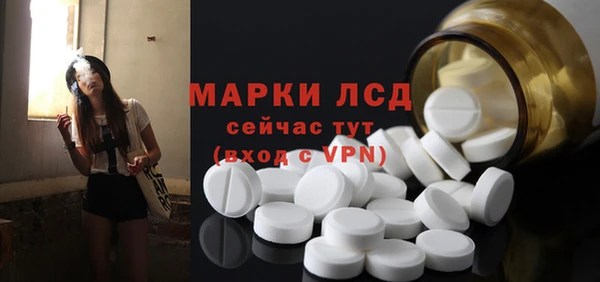 эйфоретик Белокуриха