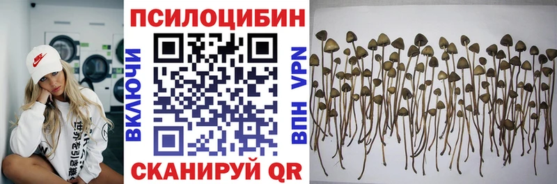 площадка состав  Пестово  Псилоцибиновые грибы Psilocybine cubensis  ОМГ ОМГ ТОР 