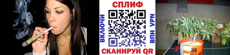 Шишки марихуана VHQ Пестово
